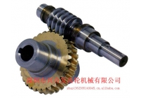 Worm gear/worm